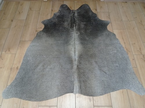 Naturalna skóra bydlęca CIEMNOSZARA 152x152 cm rozłożona w dużym salonie  - dekoracyjneskory.pl