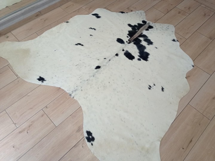 49d2f5ac-bd02-4d12-876c-86b4baaf6e6d (1)