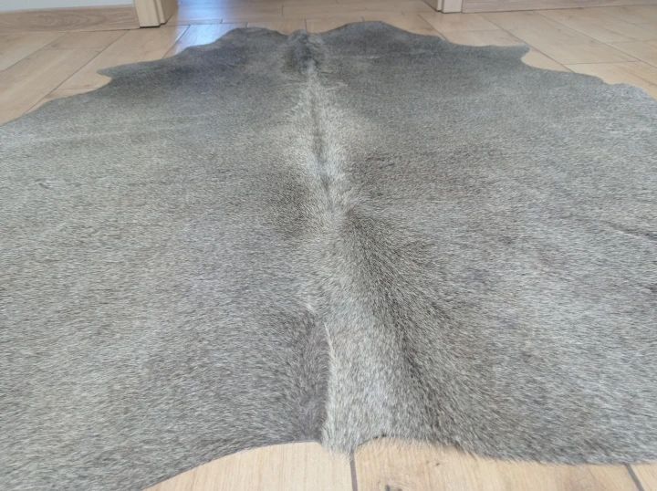 Naturalna skóra bydlęca CIEMNOSZARA 152x152 cm rozłożona w dużym salonie  - zbliżenie na lśniący włos - dekoracyjneskory.pl