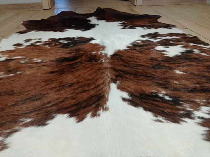 Naturalna skóra bydlęca ŁACIATY TRICOLOR 165x110 cm rozłożona w dużym salonie  - zbliżenie na lśniący włos - dekoracyjneskory.pl