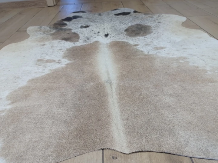 Naturalna skóra bydlęca ŁACIATA BEŻOWO-BRĄZOWA 130x140 cm rozłożona w dużym salonie  - zbliżenie na lśniący włos -  dekoracyjneskory.pl