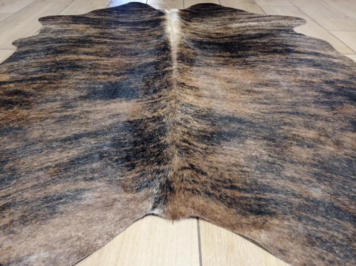 Naturalna skóra bydlęca TYGRYS BRĄZOWO-RUDY 140x125 cm rozłożona w dużym salonie  - zbliżenie na lśniący włos - dekoracyjneskory.pl