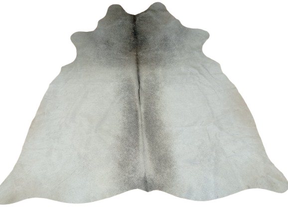 Naturalna skóra bydlęca SZARA 165x155 cm rozłożona w dużym salonie  - dekoracyjneskory.pl