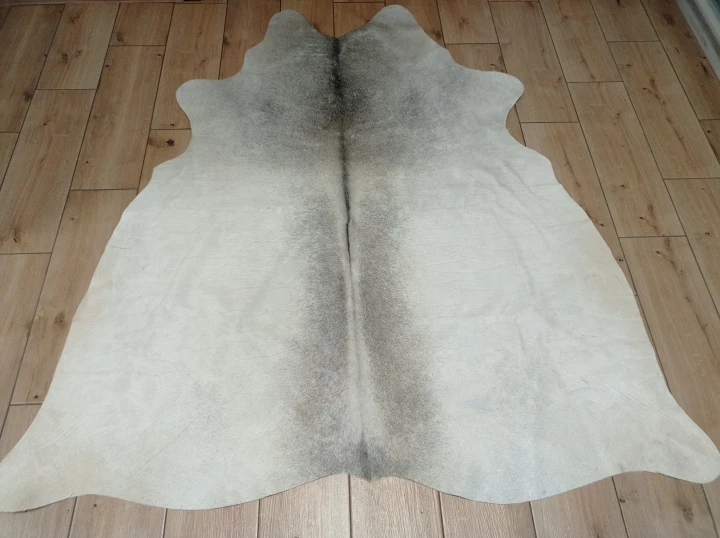 Naturalna skóra bydlęca SZARA 165x155 cm rozłożona w dużym salonie  - dekoracyjneskory.pl