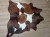 Naturalna skóra bydlęca ŁACIATY TRICOLOR 125x135 cm rozłożona w dużym salonie  - dekoracyjneskory.pl