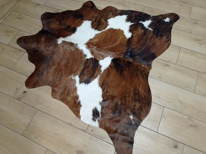 Naturalna skóra bydlęca ŁACIATY TRICOLOR 125x135 cm rozłożona w dużym salonie  - dekoracyjneskory.pl