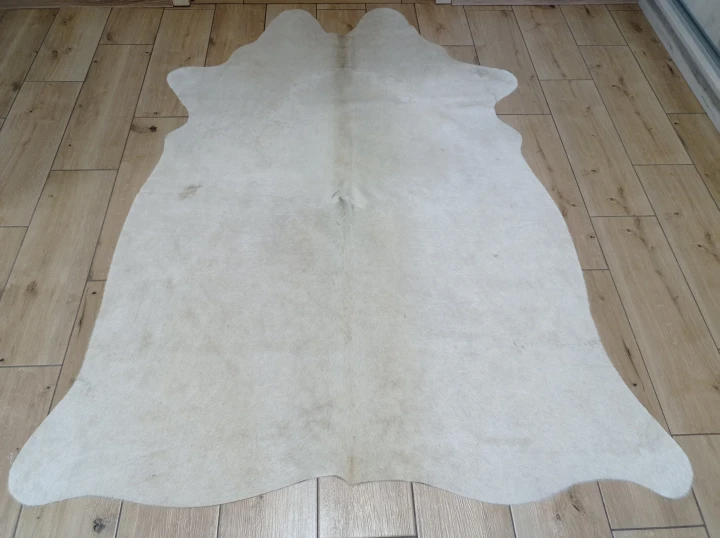 Naturalna skóra bydlęca BEŻOWO-ZŁOTA 175x135 cm rozłożona w dużym salonie  - dekoracyjneskory.pl