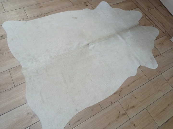 Naturalna skóra bydlęca BEŻOWO-ZŁOTA 175x135 cm rozłożona w dużym salonie  - dekoracyjneskory.pl