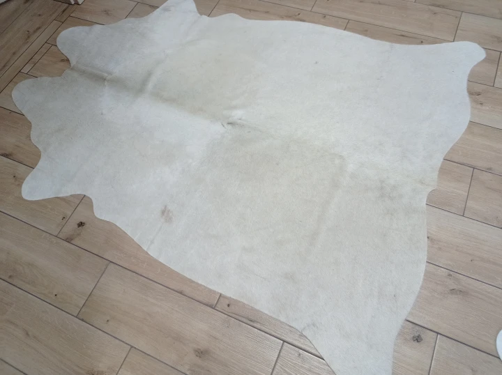 Naturalna skóra bydlęca BEŻOWO-ZŁOTA 175x135 cm rozłożona w dużym salonie  - dekoracyjneskory.pl