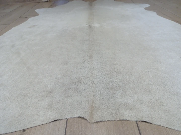 Naturalna skóra bydlęca BEŻOWO-ZŁOTA 175x135 cm rozłożona w dużym salonie  - zbliżenie na lśniący włos - dekoracyjneskory.pl