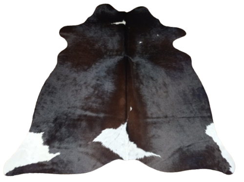 Naturalna skóra bydlęca BRĄZOWO-BIAŁA 165x135 cm rozłożona w dużym salonie  - dekoracyjneskory.pl