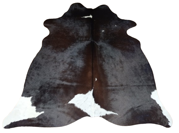 Naturalna skóra bydlęca BRĄZOWO-BIAŁA 165x135 cm rozłożona w dużym salonie  - dekoracyjneskory.pl