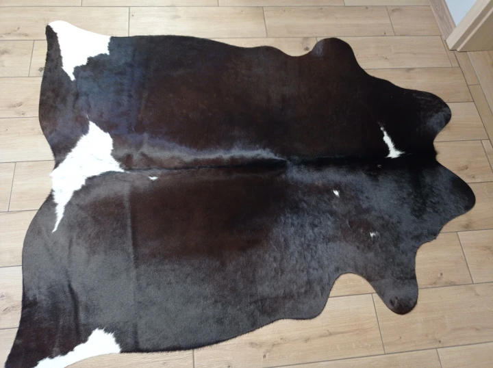 Naturalna skóra bydlęca BRĄZOWO-BIAŁA 165x135 cm rozłożona w dużym salonie  - dekoracyjneskory.pl