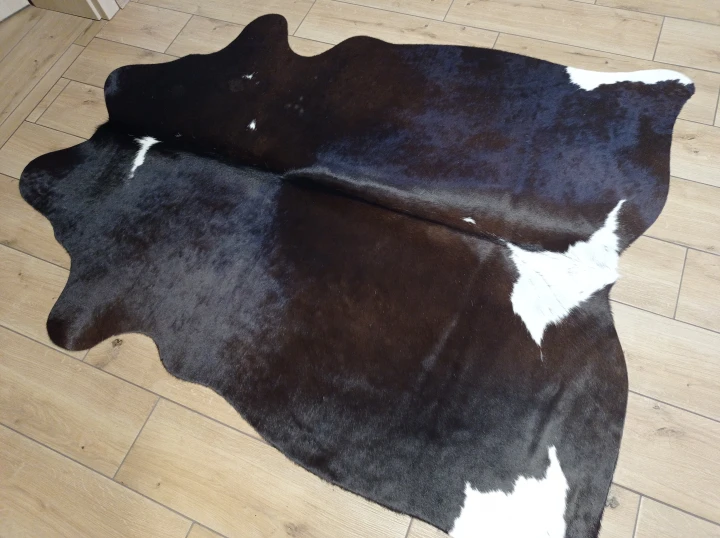 Naturalna skóra bydlęca BRĄZOWO-BIAŁA 165x135 cm rozłożona w dużym salonie  - dekoracyjneskory.pl