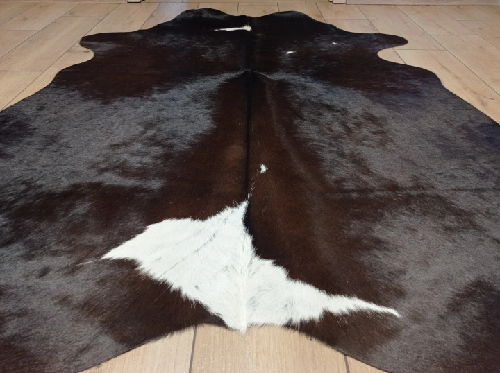 Naturalna skóra bydlęca BRĄZOWO-BIAŁA 165x135 cm rozłożona w dużym salonie  - zbliżenie na lśniący włos - dekoracyjneskory.pl