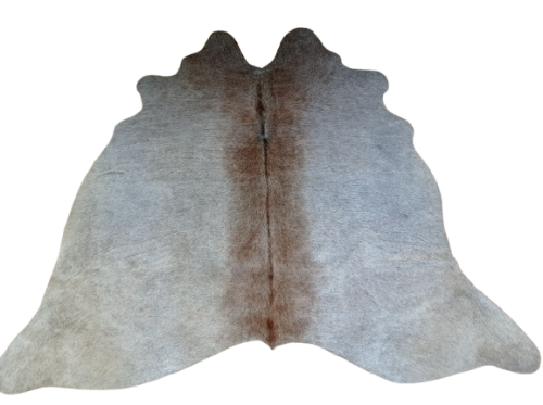 Naturalna skóra bydlęca SZARO-BEŻOWA 155x170 cm rozłożona w dużym salonie  - dekoracyjneskory.pl