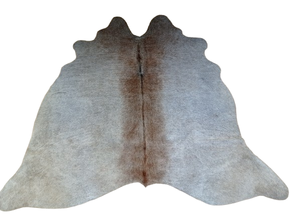 Naturalna skóra bydlęca SZARO-BEŻOWA 155x170 cm rozłożona w dużym salonie  - dekoracyjneskory.pl