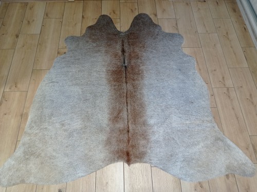 Naturalna skóra bydlęca SZARO-BEŻOWA 155x170 cm rozłożona w dużym salonie  - dekoracyjneskory.pl