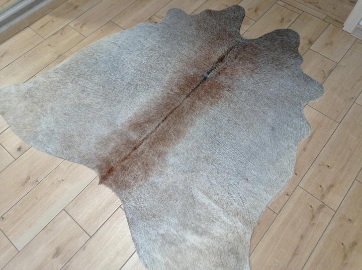 Naturalna skóra bydlęca SZARO-BEŻOWA 155x170 cm rozłożona w dużym salonie  - dekoracyjneskory.pl
