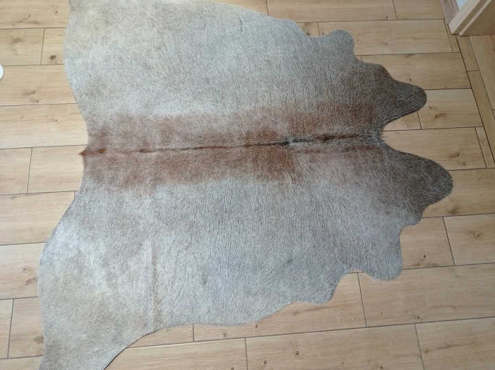 Naturalna skóra bydlęca SZARO-BEŻOWA 155x170 cm rozłożona w dużym salonie  - dekoracyjneskory.pl