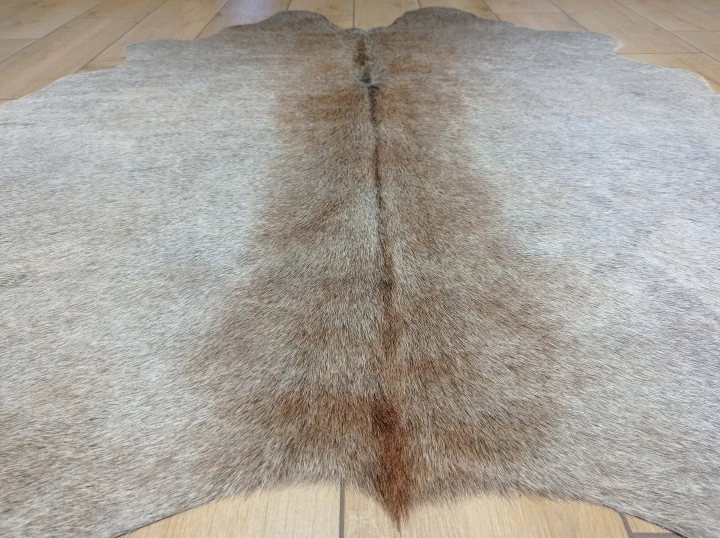 Naturalna skóra bydlęca SZARO-BEŻOWA 155x170 cm rozłożona w dużym salonie  - zbliżenie na lśniący włos - dekoracyjneskory.pl