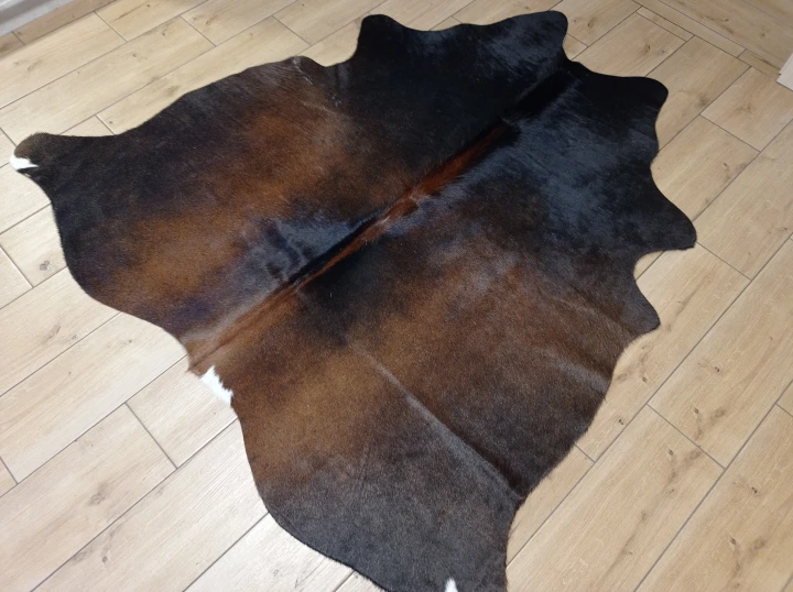 Naturalna skóra bydlęca BRĄZOWA 155x160 cm rozłożona w dużym salonie  - dekoracyjneskory.pl