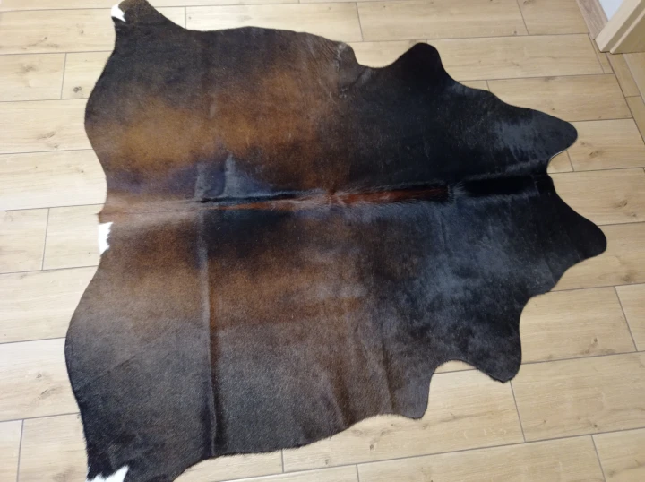Naturalna skóra bydlęca BRĄZOWA 155x160 cm rozłożona w dużym salonie  - dekoracyjneskory.pl