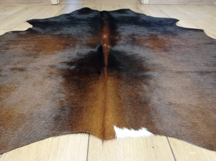 Naturalna skóra bydlęca BRĄZOWA 155x160 cm rozłożona w dużym salonie  - zbliżenie na lśniący włos - dekoracyjneskory.pl