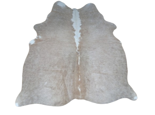 Naturalna skóra bydlęca BEŻOWO-BIAŁA 150x130 cm rozłożona w dużym salonie  - dekoracyjneskory.pl