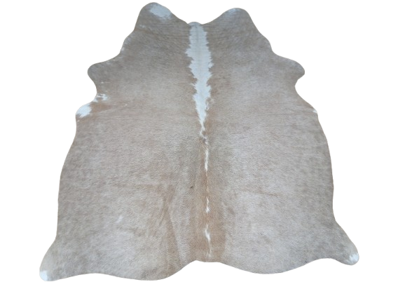 Naturalna skóra bydlęca BEŻOWO-BIAŁA 150x130 cm rozłożona w dużym salonie  - dekoracyjneskory.pl