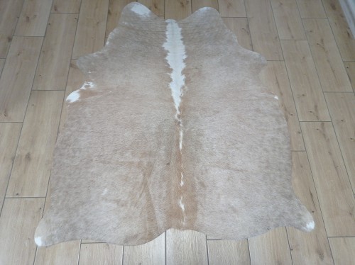 Naturalna skóra bydlęca BEŻOWO-BIAŁA 150x130 cm rozłożona w dużym salonie  - dekoracyjneskory.pl