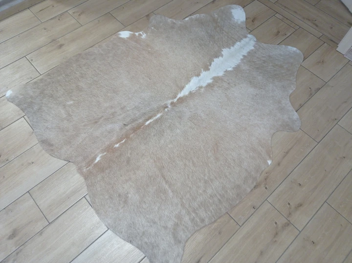 Naturalna skóra bydlęca BEŻOWO-BIAŁA 150x130 cm rozłożona w dużym salonie  - dekoracyjneskory.pl