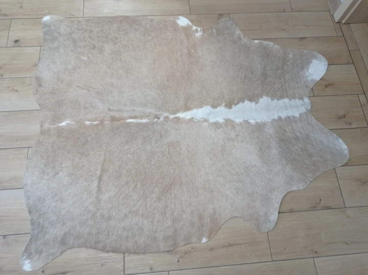 Naturalna skóra bydlęca BEŻOWO-BIAŁA 150x130 cm rozłożona w dużym salonie  - dekoracyjneskory.pl