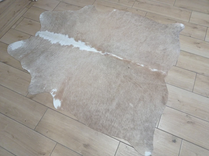 Naturalna skóra bydlęca BEŻOWO-BIAŁA 150x130 cm rozłożona w dużym salonie  - dekoracyjneskory.pl