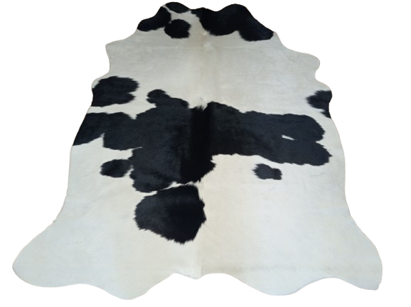 Naturalna skóra bydlęca ŁACIATA CZARNO-KREMOWA 170x140 cm rozłożona w dużym salonie  - dekoracyjneskory.pl
