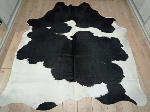 Naturalna skóra bydlęca 225x195 cm rozłożona w dużym salonie  - dekoracyjneskory.pl
