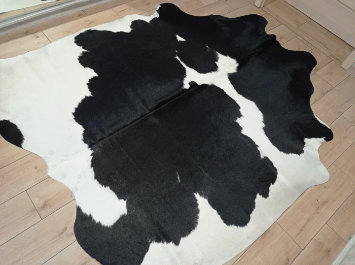 Naturalna skóra bydlęca 225x195 cm rozłożona w dużym salonie  - dekoracyjneskory.pl