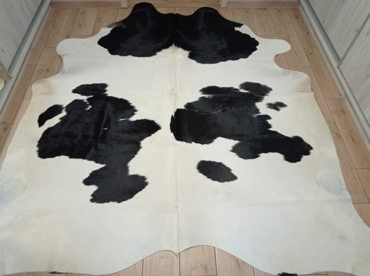 Naturalna skóra bydlęca 250x230 cm rozłożona w dużym salonie  - dekoracyjneskory.pl