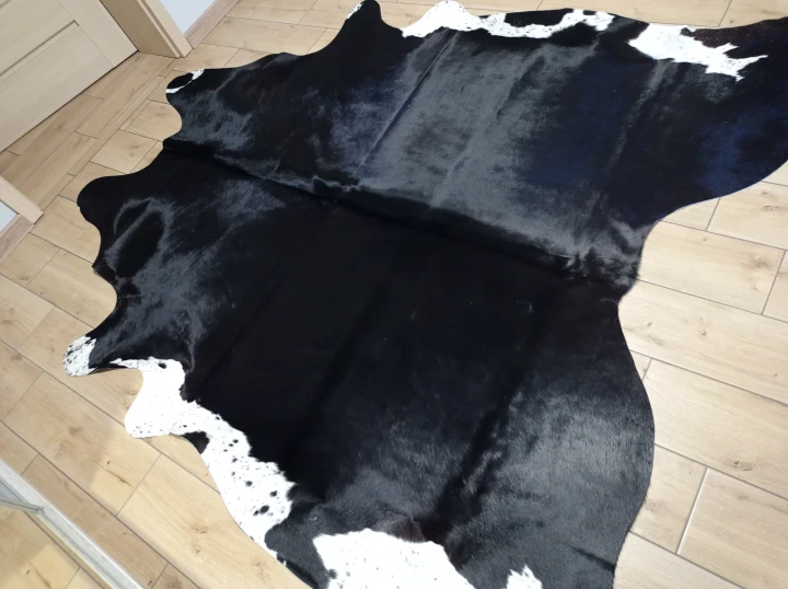 Naturalna skóra bydlęca 235x215 cm rozłożona w dużym salonie  - dekoracyjneskory.pl
