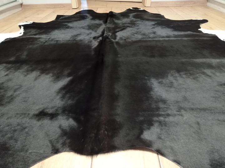 Naturalna skóra bydlęca 235x215 cm rozłożona w dużym salonie  - zbliżenie na lśniący włos - dekoracyjneskory.pl
