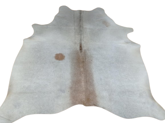 05040e1f-ffba-4853-be63-fd9d8b259c54-removebg-preview