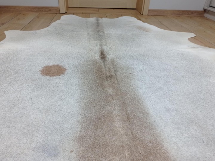 7bc0f5bf-4a17-486c-9a2b-2e95d8412375