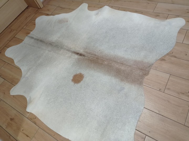 78688dbd-b8dd-4947-8f72-cda72372cb00