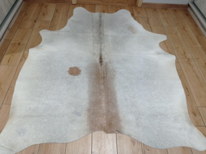 05040e1f-ffba-4853-be63-fd9d8b259c54