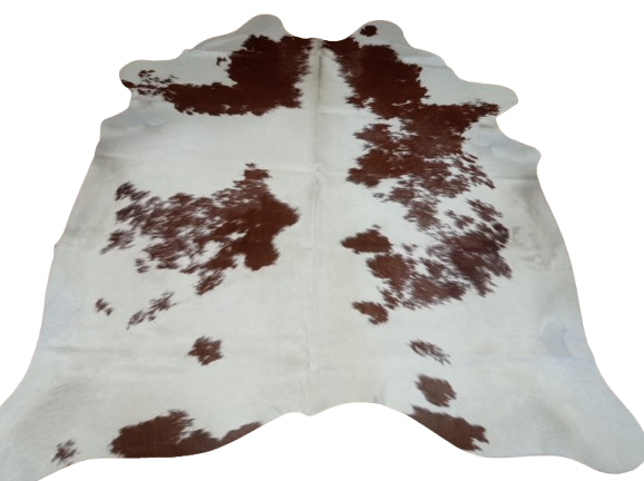 d511cbe4-2dff-471a-8a31-b7c06d8e7ade-removebg-preview