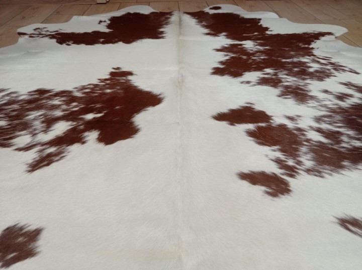 7502ef18-2caf-44f2-9899-633cdb0045cc