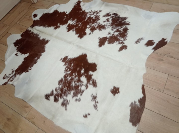 59455143-fd60-4e97-a72a-ce8178610c03