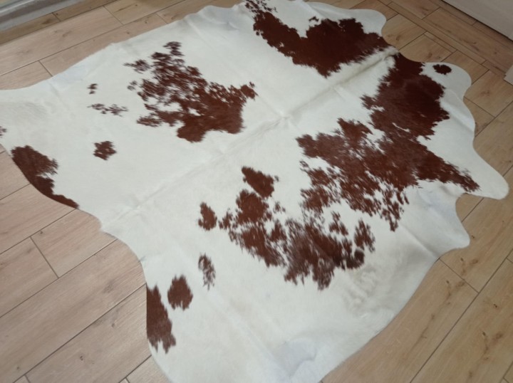 aa84e1cd-bfef-442f-9abd-1c994af4ce0f