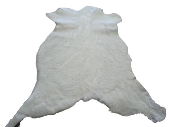 b76ca961-e684-41d1-ae2e-921d2d2ca5d9-removebg-preview