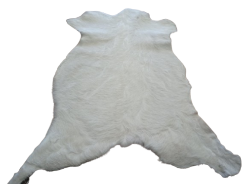 b76ca961-e684-41d1-ae2e-921d2d2ca5d9-removebg-preview